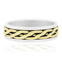 Silberring (Nan Collection)