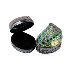 Abalone-Muschel-Schatulle (Bali Barong)