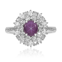 Stern-Rubin-Goldring (CIRARI)