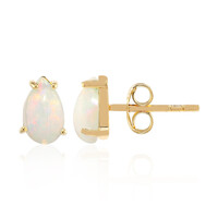 Welo-Opal-Silberohrringe