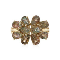 Oregon-Sonnenstein-Goldring