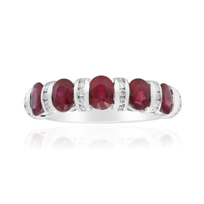 AAA-Mosambik-Rubin-Goldring (CIRARI)