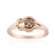 VS1 Argyle-Rose de France-Brillant-Goldring (Annette)
