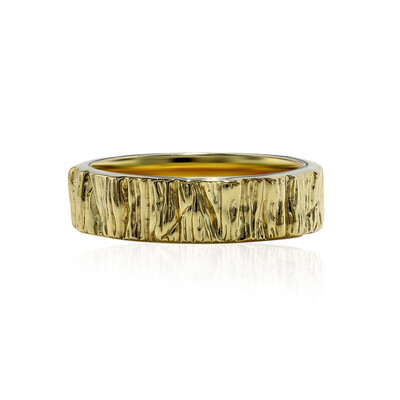 Silberring