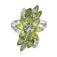 Paraiba-Turmalin-Silberring