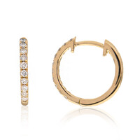 Lupenreiner (F) Brillant-Goldohrringe (LUCENT DIAMONDS)