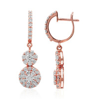 SI3 (H) Brillant-Goldohrringe (Estée Collection)