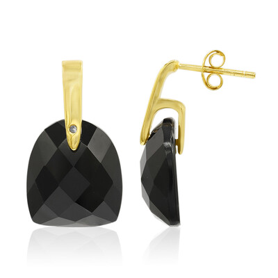 Schwarzer Onyx-Silberohrringe
