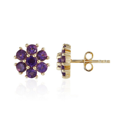 Sambia-Amethyst-Silberohrringe