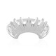 Silberring