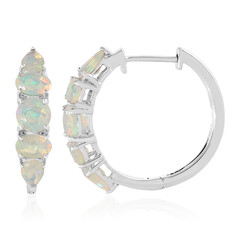 Welo-Opal-Silberohrringe