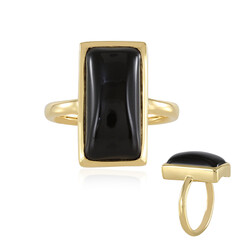 Schwarzer Onyx-Silberring