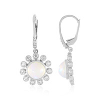Welo-Opal-Silberohrringe