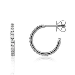 Lupenreiner (F) Brillant-Platinohrringe (LUCENT DIAMONDS)