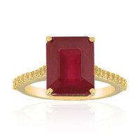 Bemainty-Rubin-Goldring