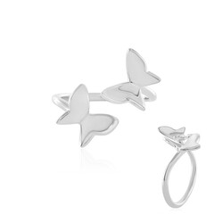 Silberring