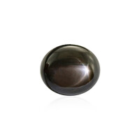 Schwarzer Stern-Saphir 13,32 ct