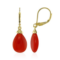 Roter Achat-Silberohrringe
