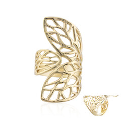 Silberring