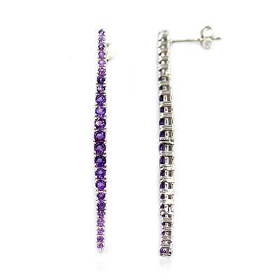 Sambia-Amethyst-Silberohrringe