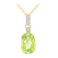 Paraiba-Turmalin-Goldhalskette (AMAYANI)