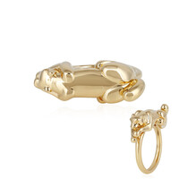 Silberring