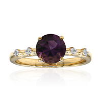 Arizona-Amethyst-Goldring (Amanda Adkins)