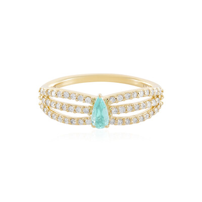 Brasilianischer Paraiba-Turmalin-Goldring (AMAYANI)