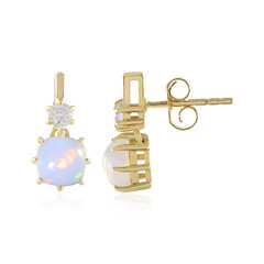 Welo-Opal-Silberohrringe