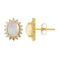 Welo-Opal-Silberohrringe