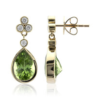 Wagogo-Peridot-Goldohrringe