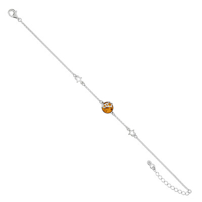 Baltischer Bernstein-Silberarmband (dagen)