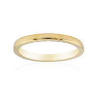 Silberring