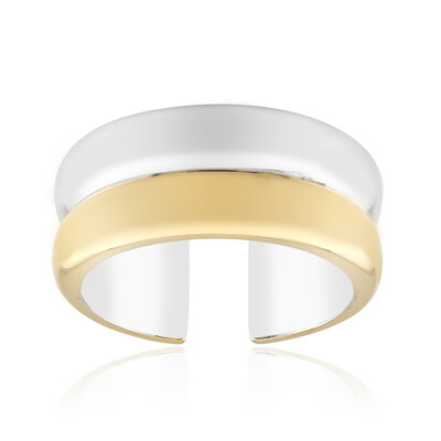 Silberring