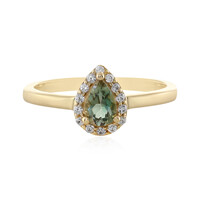 Oregon-Sonnenstein-Goldring