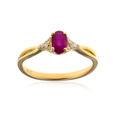 AAA-Mosambik-Rubin-Goldring (CIRARI)