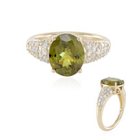 Sphen-Goldring (AMAYANI)