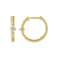 I2 (I) Diamant-Silberohrringe