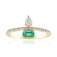 Edelstein-Goldring (CIRARI)