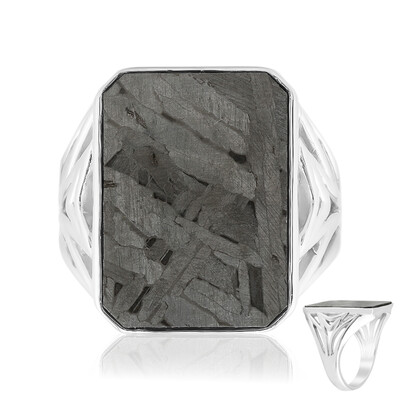 Aletai-Meteorit-Silberring