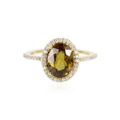 Sphen-Goldring (AMAYANI)