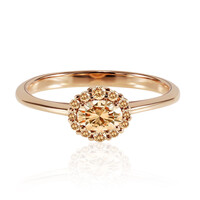 VS1 Argyle-Rose de France-Diamant-Goldring