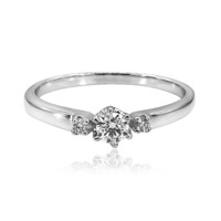 VS1 (G) Brillant-Goldring