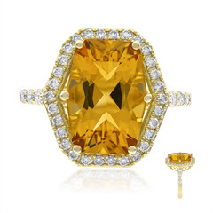 Citrin-Goldring (CIRARI)