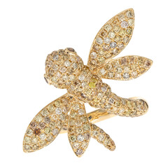 SI2 Fancy-Brillant-Goldring (CIRARI)