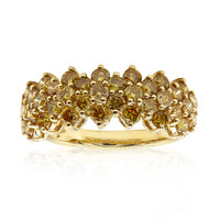 Oranger SI2 Brillant-Goldring (CIRARI)