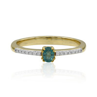 Grandidierit-Goldring (AMAYANI)