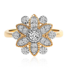 IF (D) Brillant-Goldring
