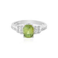 Sphen-Goldring