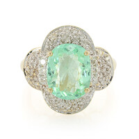 Nigerianischer Paraiba-Turmalin-Goldring (AMAYANI)